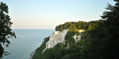 Kreidefelsen Königsstuhl Rügen